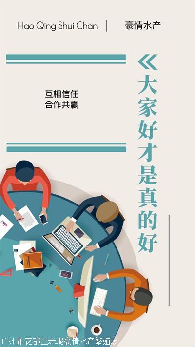 阳江泥鳅鱼 苗市行情与垂钓服务的多元商机