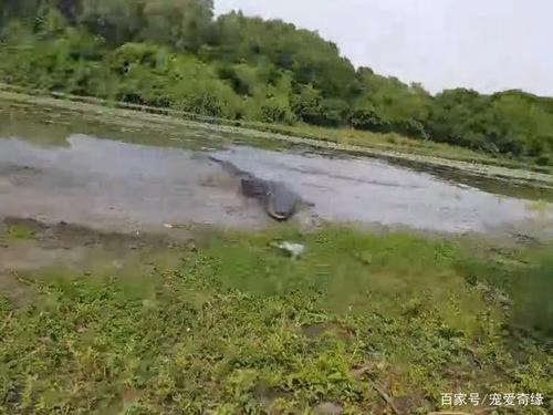 垂钓惊魂 当鱼竿弯成满弓那一刻，咬钩的却不止是鱼……垂钓服务安全指南